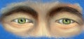 Fragment of the face - two green eyes Royalty Free Stock Photo