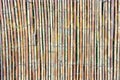 Fragment of a fence made of thin rods Royalty Free Stock Photo