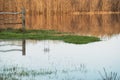 Fragment of fence standing in the water in the flooded meadows, the reflection of the forest in the river Royalty Free Stock Photo