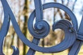 Fragment of the forged fence of the Mikhailovsky garden