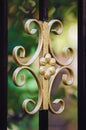 Fragment of a forged lattice, a beautiful pattern on an iron forged fence. Close-up Royalty Free Stock Photo