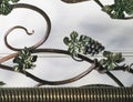 Fragment of a Forged Metal Grate, Openwork Leaf and Bunch of Grapes