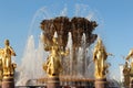 A fragment of the fountain `Friendship of Peoples` at VDNKh VVC Royalty Free Stock Photo