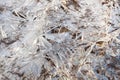fragment of frozen river surface with delicate ice