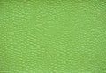 A fragment of genuine leather with a fine mesh pattern, artificially dyed in an acid green color