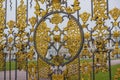 Fragment golden gate, The Catherine Palace, Tsarskoye Selo, Push Royalty Free Stock Photo