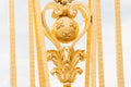 Fragment of the golden gate of the Palace of Versailles Royalty Free Stock Photo