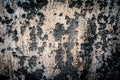 Fragment of a gray concrete wall with small white stones. texture for background. Royalty Free Stock Photo