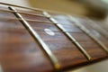 Fragment of a guitar fretboard with strings. Soft focus, shallow depth of field