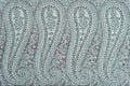 Fragment of Indian pashmina shawl pattern Royalty Free Stock Photo