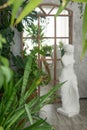 A fragment of the interior with a variety of indoor plants and plaster sculptures. Urban jungle concept. Biophilia