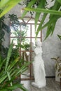 A fragment of the interior with a variety of indoor plants and plaster sculptures. Urban jungle concept. Biophilia