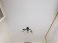 A fragment of the interior, a view of a modest ceiling with glued ceiling tiles and a small chandelier