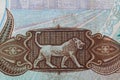 Fragment of 25  Iraqi dinar banknote issued in 1986 Royalty Free Stock Photo