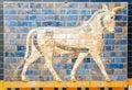 Fragment of the Ishtar Gate Royalty Free Stock Photo