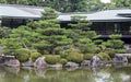 Fragment of a Japanese garden with artificially shaped pine tree