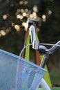 Fragment of a ladies` bicycle. Steering wheel and basket. Stands in the park. Close-up shot