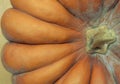 Fragment of a large ripe orange pumpkin