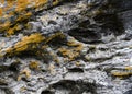 Fragment of a large stone boulder covered with colorful moss in the taiga in Siberia