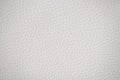 A fragment of light gray genuine leather with a small mesh pattern, close-up Royalty Free Stock Photo