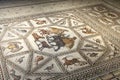 Fragment of Lod Mosaic, famous Roman mosaic floor in Lod town in Israel, displayed in Shelby White and Leon Levy Lod Mosaic Center