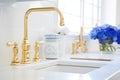 Fragment of modern classic luxury kitchen. White stone countertop with built-in sink, curved gold faucet. Flowers and Royalty Free Stock Photo