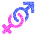 Fragment Mosaic Gender Confrontation Symbol Icon