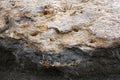 Fragment of the mountain: beige rock, rough texture of the stone.