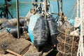 A fragment of a mussel and oyster farm on the shore of the sea bay, loaded with cages for growing shellfish and buoys