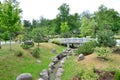 Fragment of a nature corner in the Kadriorg park in the city of Tallinn, Estonia