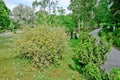 Fragment of a nature corner in the Kadriorg park in the city of Tallinn, Estonia