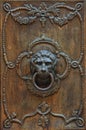 Bronze door handle in the shape of a lion`s head. Royalty Free Stock Photo