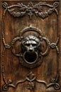 Bronze door handle in the shape of a lion`s head. Royalty Free Stock Photo