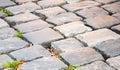 A fragment of an old cobblestone pavement lined with multi-colored rectangular bricks. Close-up. Background