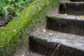 A fragment of an old concrete staircase overgrown with moss.Old stone stairs with moss and weeds.Deserted abandoned city Royalty Free Stock Photo