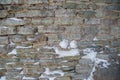 Fragment of an old fortress wall with traces of snow as the basis of the background. Royalty Free Stock Photo