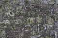 Fragment of old gray stone wall made of different form and size rocks with green moss on it. Royalty Free Stock Photo