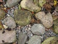 Fragment. abstract background, texture - an old road paved with natural wild glacial stone, overgrown with grass and moss. Royalty Free Stock Photo