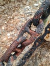 Fragment of an old rusty metal chain Royalty Free Stock Photo