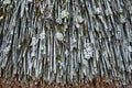 A fragment of the old thatched roof. Texture, background Royalty Free Stock Photo