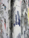 Fragment of old wall texture with traces of many layers of torn posters and announcements Royalty Free Stock Photo