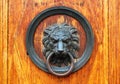 Fragment of old wooden door with bronze lion's head as a doorkno