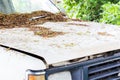 Fragment of old worn out white car, whose hood, windshield and roof covered with fallen leaves.