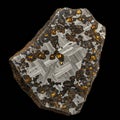 A fragment of a pallasite meteorite, displaying a unique interlocking pattern of Royalty Free Stock Photo
