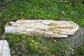 Fragment of a partially destroyed antique column of white marble with yellow veins. Antique artifact outdoors