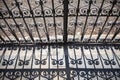 Fragment of the patterned metal fence