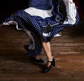 Fragment photo of flamenco dancer, only kegs cropped, Legs fragment photo of flamenco dancer, spanish Royalty Free Stock Photo