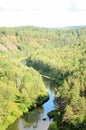 A fragment of a river curving flowing through a dense coniferous forest