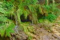 A fragment of rock covered with moss