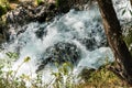 A fragment of a rocky bank of a stream in the mountains of Armenia. Royalty Free Stock Photo